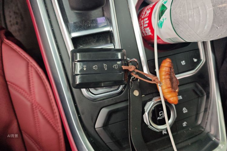 Tank 400 New Energy 2024 car image #10