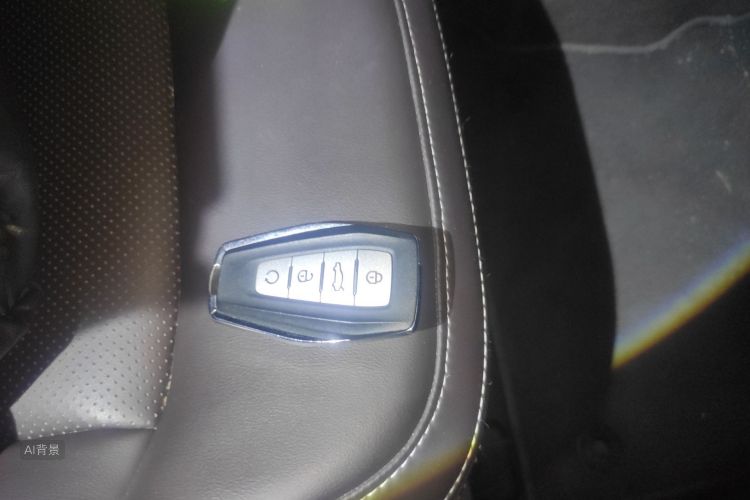 GEELY JiaJi New Energy 2019 immagine di auto #10