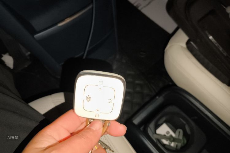 极氪 极氪X 2023 汽车图片 #10