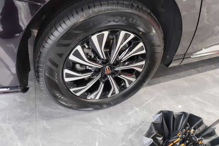 HongQi HQ9 PHEV 2024 #10 HongQi HQ9 PHEV 2024 car image #10