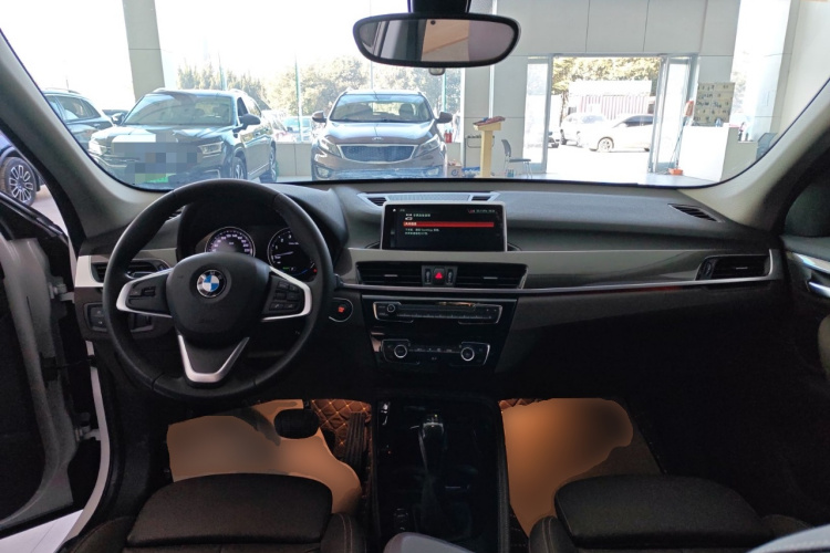 BMW X1 New Energy 2020 car image #10