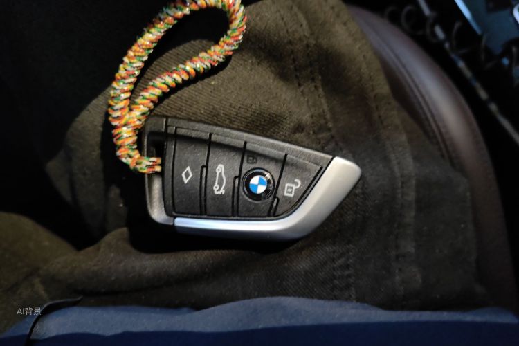 BMW X3 2020 car image #10