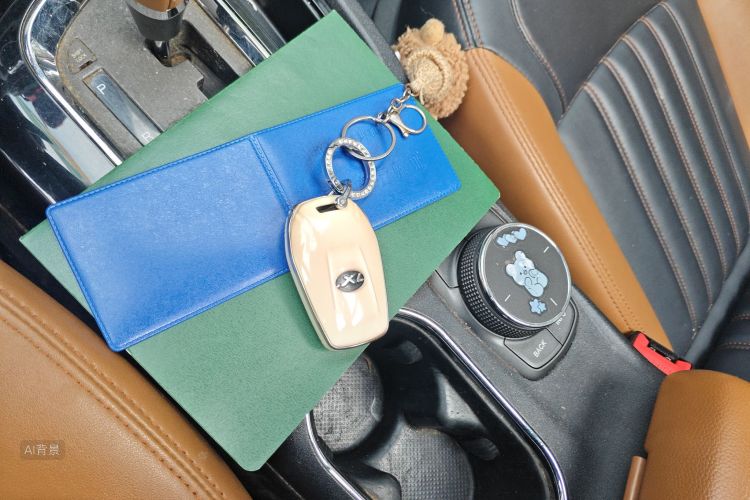 Soueast DX7 2015 imagem de carro #10