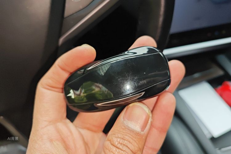 特斯拉 Model S 2019 汽车图片 #10