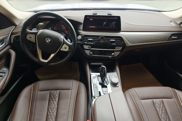 BMW 5 Series 2020 car image #10