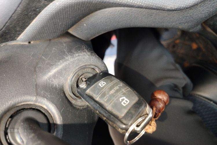 Chery Tiggo 3 2017 car image #10