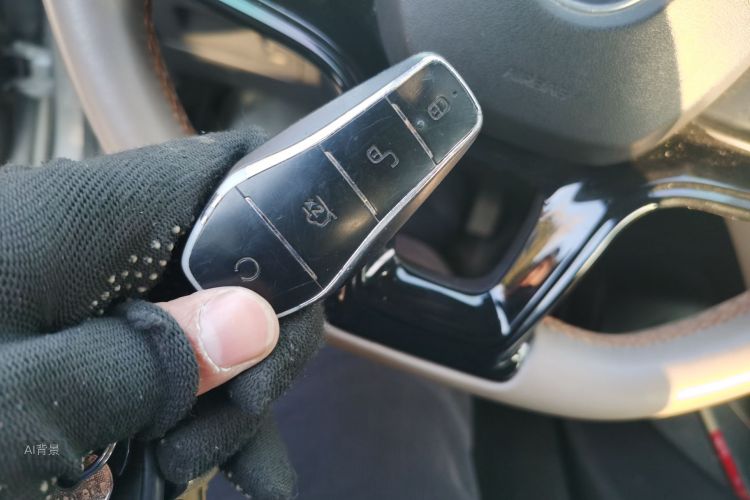 BYD Song Pro New Energy 2023 car image #10