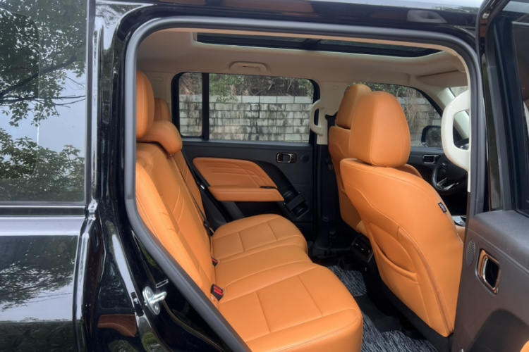 Haval Raptor New Energy 2023 car image #10