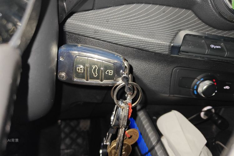 奥迪Q2L 2019 汽车图片 #10