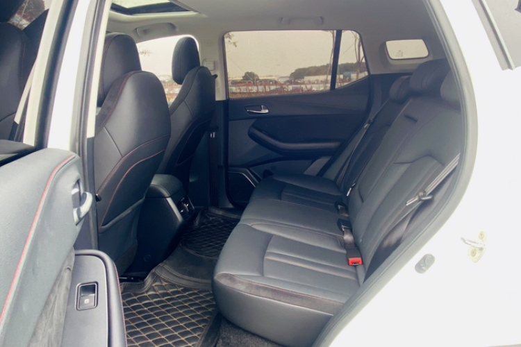 GAC Trumpchi GS4 New Energy 2020 car image #10