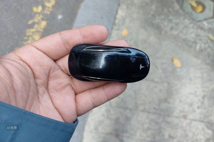 特斯拉 Model X 2019 汽车图片 #10