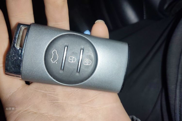 Exceed Lingyun 2021 car image #10