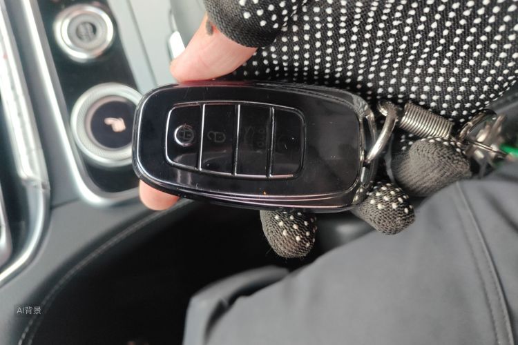 HongQi H9 2021 car image #10