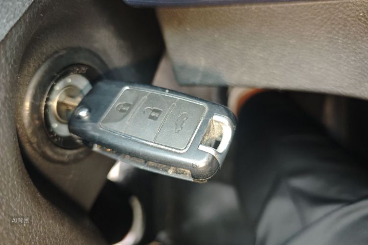 Forthing Lingzhi 2024 car image #10