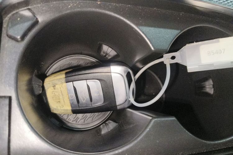 HongQi E-HS9 2023 car image #10