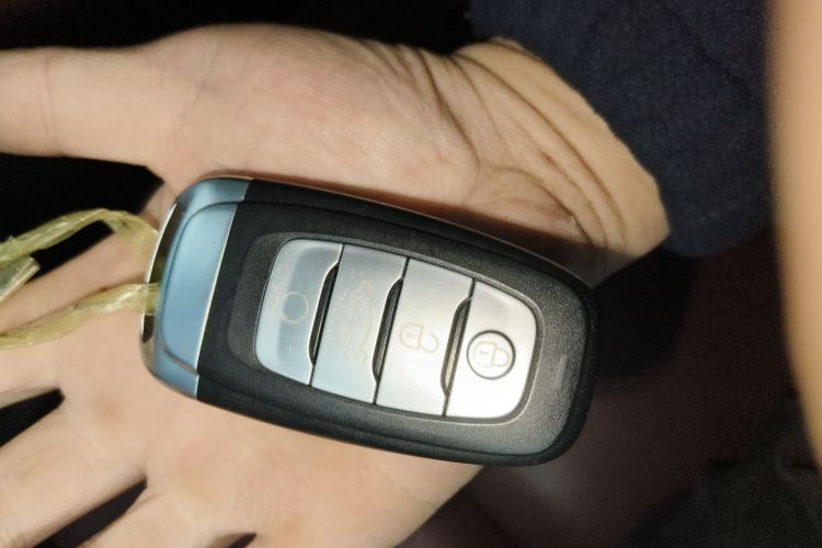 HongQi E-HS9 2023 imagem de carro #10