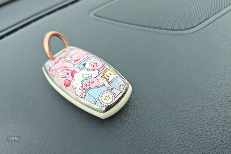 Haval H8 2017 car image #10