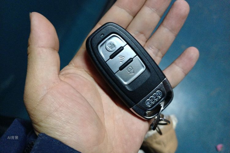 Q2L 2021 car image #10