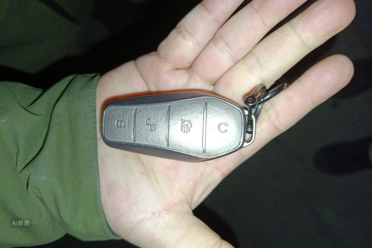 BYD SongL DM-i 2024 car image #10