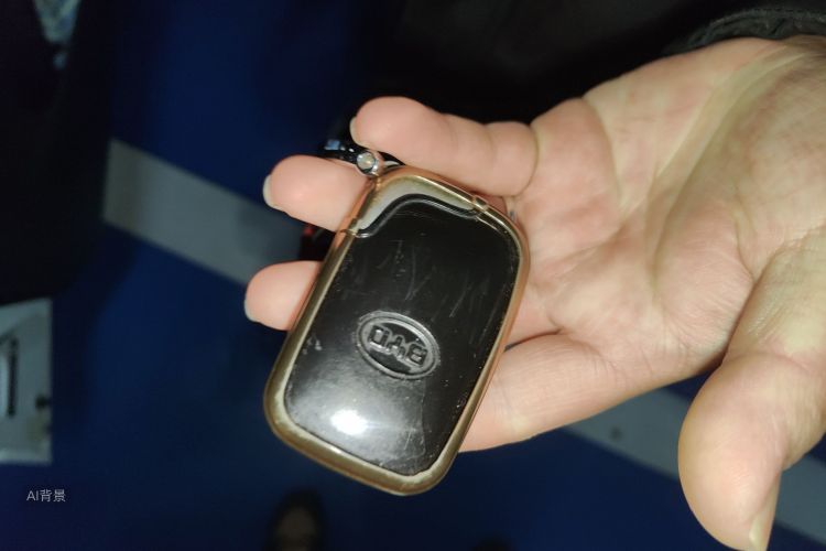 BYD F3 2017 car image #10