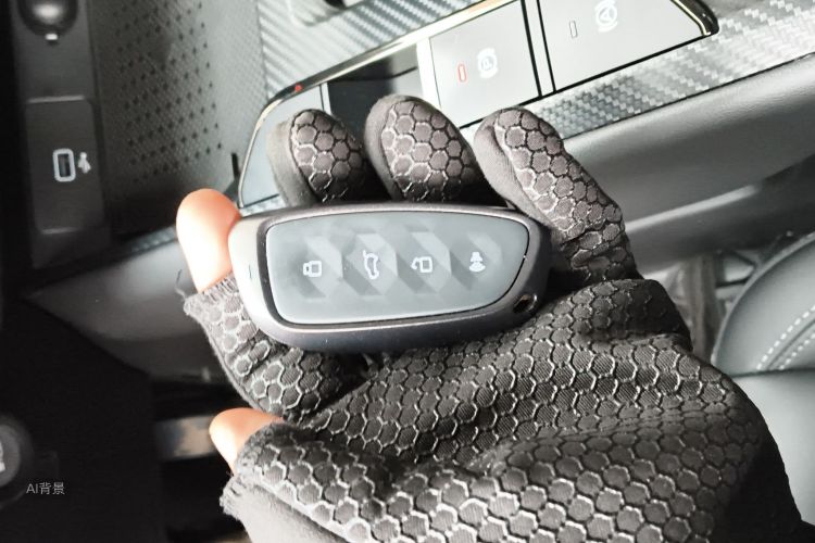 Haval Dargo 2 2023 car image #10