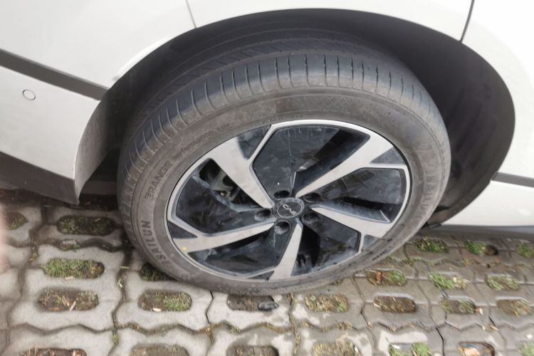 BYD Sea Lion 06 New Energy 2025 car image #10