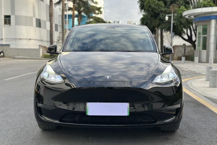 Tesla Model Y 2021 car image #10