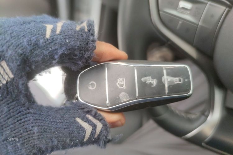 BYD Sea Lion 05 EV 2025 car image #10