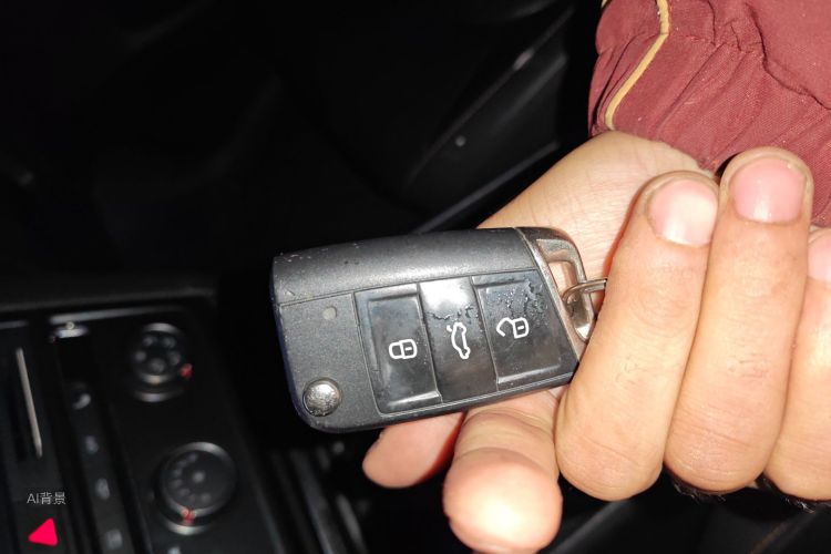 大众 高尔夫·嘉旅 2017 #10 大众 高尔夫·嘉旅 2017 汽车图片 #10