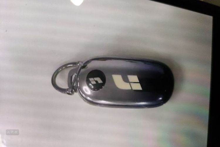 Li L6 2024 صورة سيارة #10