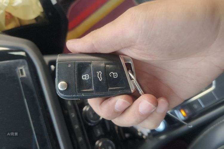 Volkswagen Tiguan L 2019 car image #10