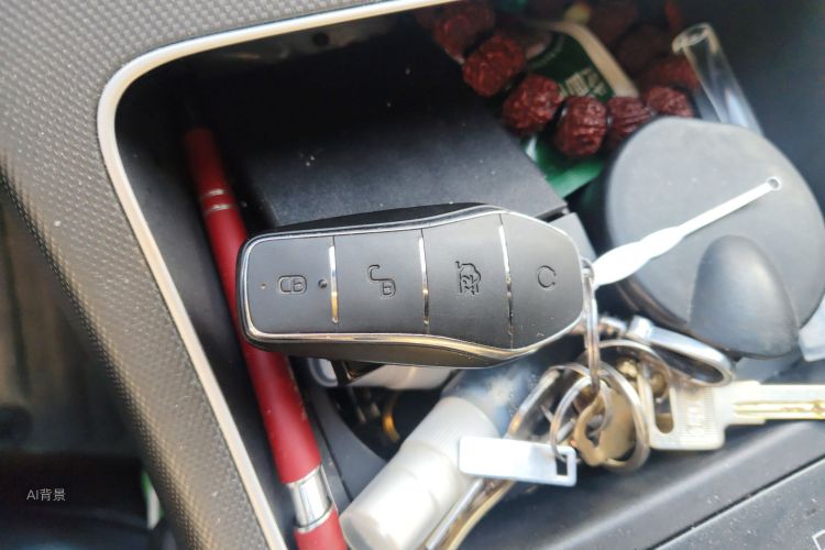 BYD Destroyer 05 2024 imagem de carro #10