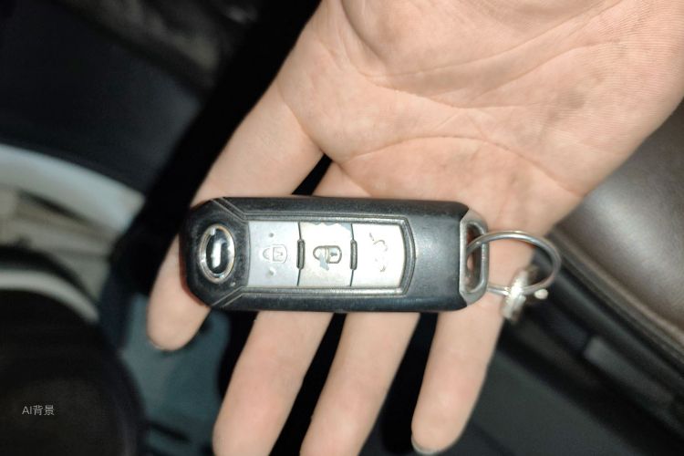 GAC Trumpchi GS4 2016 car image #10