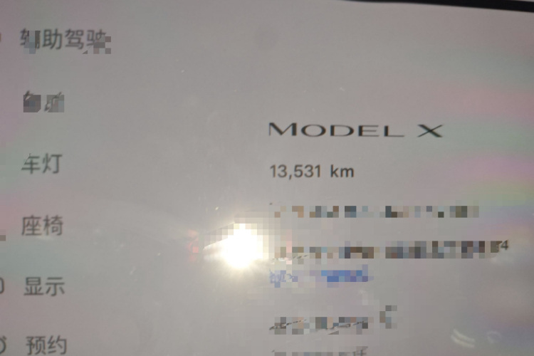 特斯拉 Model X 2023 汽车图片 #10