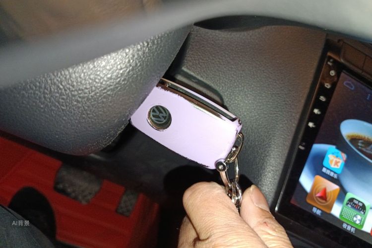 大众 Polo 2015 汽车图片 #10