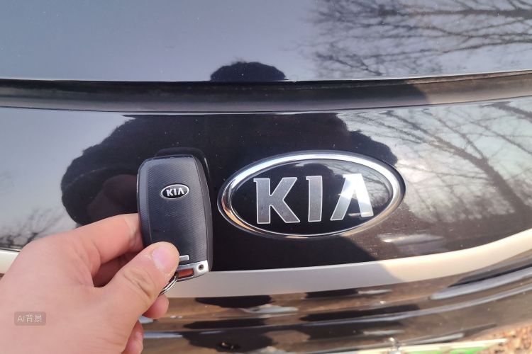 起亚 起亚K5新能源 2019 汽车图片 #10