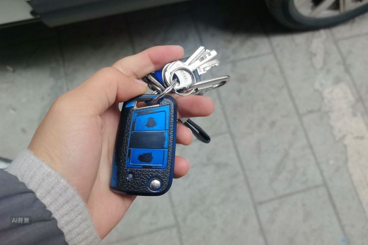 VS5 2021 car image #10