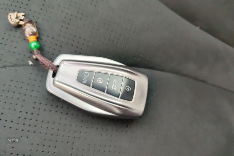 GEELY Monjaro 2024 immagine di auto #10
