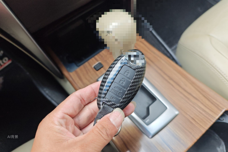 BYD Song Pro New Energy 2019 car image #10