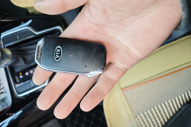 起亚 智跑 2020 汽车图片 #10