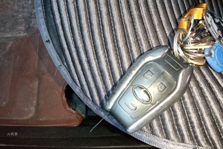 Soueast DX7 2016 car image #10