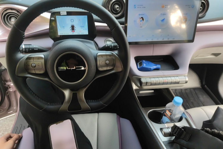 BYD Dolphin 2023 car image #10
