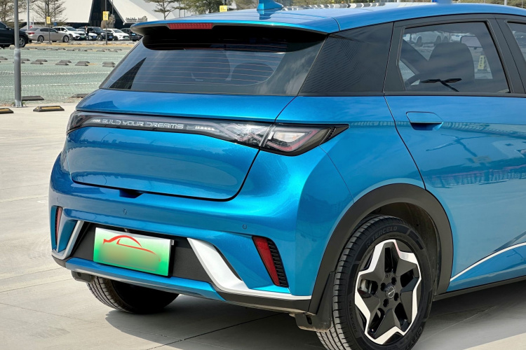 BYD Dolphin 2022 car image #10