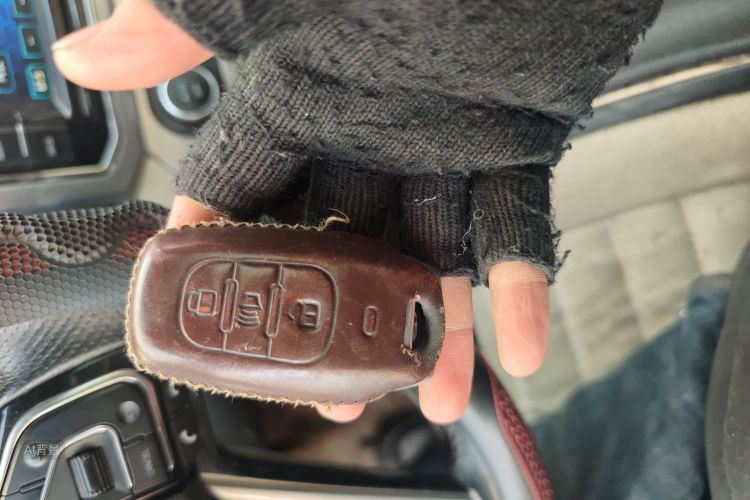 Haval H6 Coupe 2016 car image #10