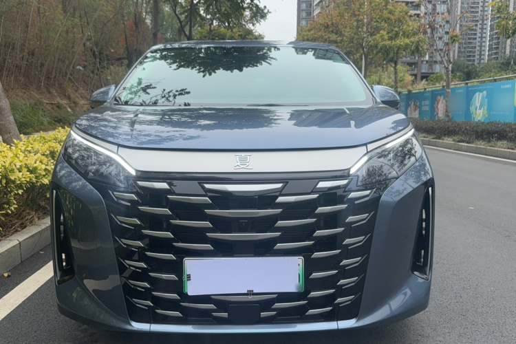 BYD Xia 2025 imagen de coche #10