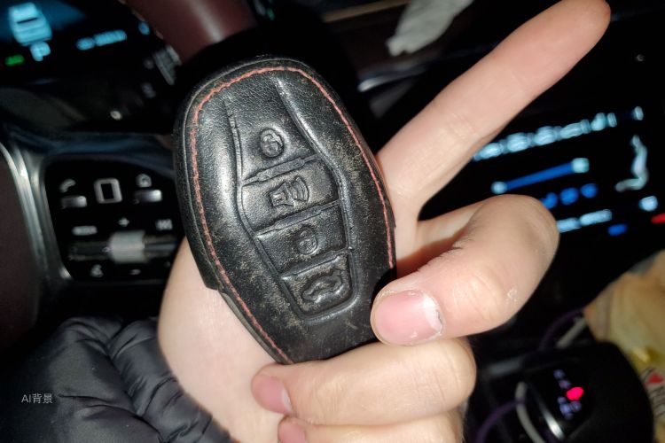 Jetour X90 2021 car image #10