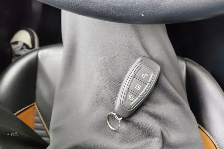 Ford Focus 2017 car image #10