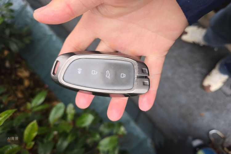 Haval Dargo 2 2023 car image #10