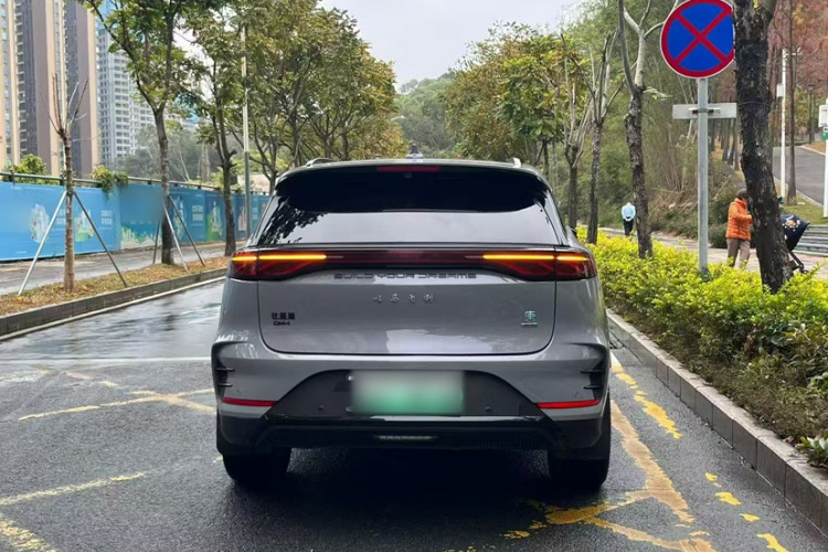 BYD Tang New Energy 2025 car image #10