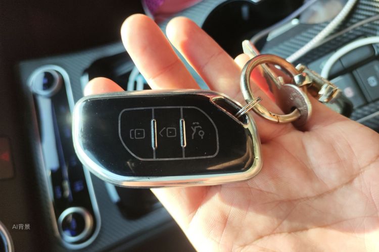 Forthing T5 EVO 2021 car image #10